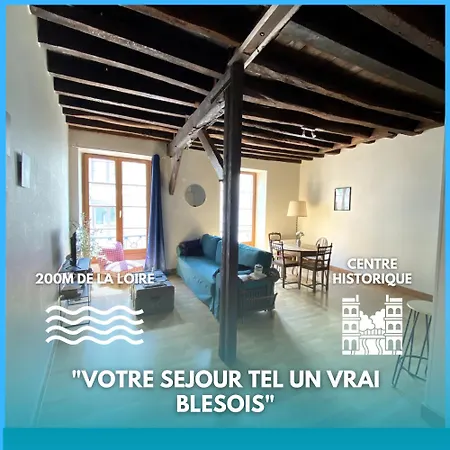 Appartement L'Escapade Blesoise - Hyper Centre à Blois Extérieur photo